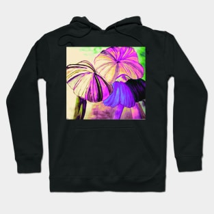 Three Mushrooms in Multicolor Hoodie